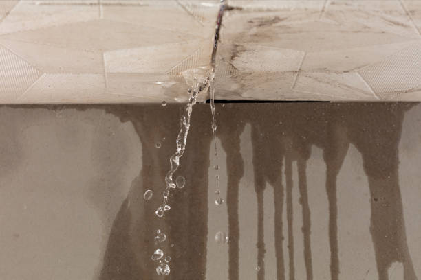 Professional Structural Drying technician working in Helena, OH